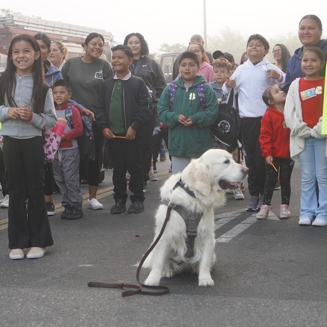 GGPD K9 Misha supports our Walk to School